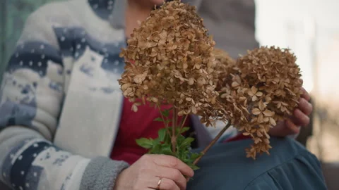 Nostalgic scene of artisan creating handmade floral display. Calm evening scene Vídeo Stock 347329911
