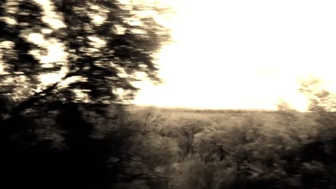 Nostalgic Suspense Road Trip Stock Footage 316645701