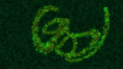 Nostoc Stock Footage 260628083