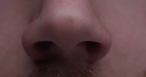 Nostrils Flaring and Breathing Macro Stock Footage