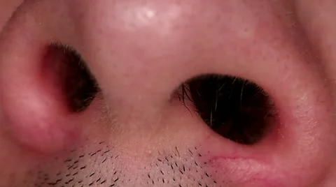 Nostrils Macro Closeup 库存影片 25364131