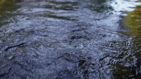 Not a big current in the river from a sailing boat Stock Footage 140449586