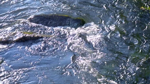 Not clear sharp background of water surface of flowing river. Top view 库存影片 144959162
