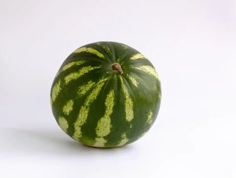 Not cut watermelon on a wihte background Stock Photos