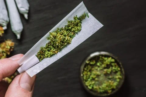 Not fully twisted jamb joint in the hands of a man marijuana weed The concept Stock Photos
