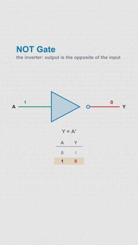 NOT Gate Labeled Logic Gate Truth Table Animation Alpha 4K Vertical 9x16 Light Видео 339529299