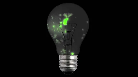 Not Light Bulb With Moth Stock Footage 49849108
