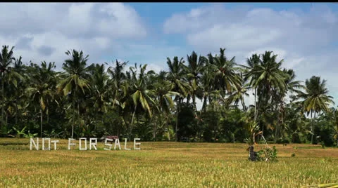 Not For Sale Stock Footage 26232292