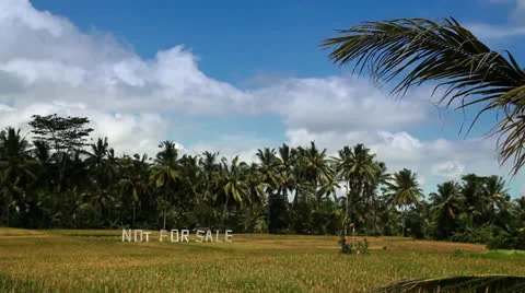 Not For Sale Stock Footage 26232775