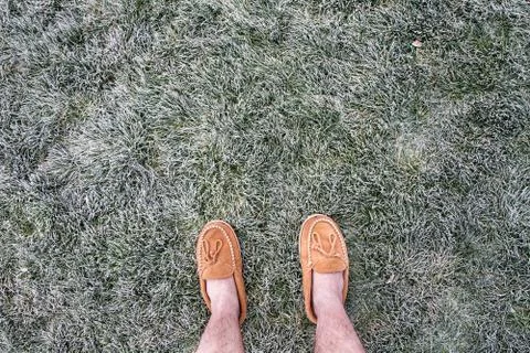 Not smart Stock Photos