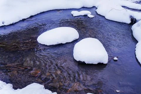 Not stood rive Stock Photos