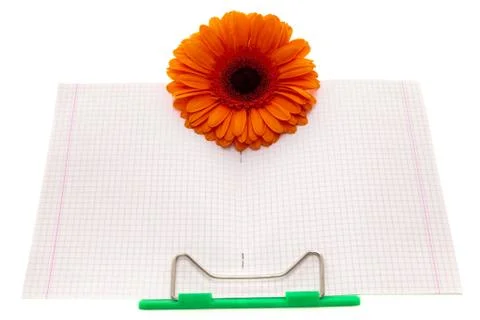 Note book and flower Stock Photos