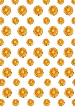 Note book paper Stock Photos