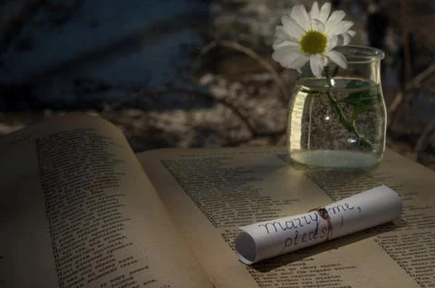 A Note On The Book With A Ring 写真素材