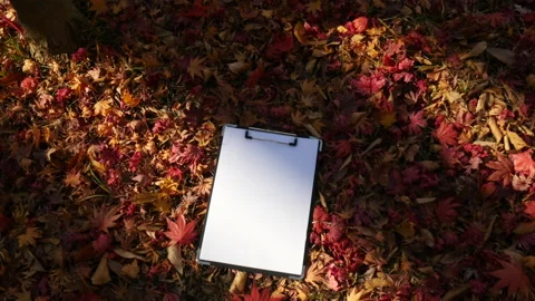 Note pad on autumn leaves 库存影片 162638370