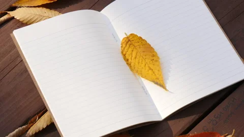 Note on a table at autumn light under the tree Vidéo 162638222