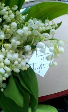 Note with text on white paper and blurred bouquet of lilies of the valley Stock Photos