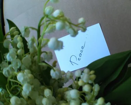Note with text on white paper and blurred bouquet of lilies of the valley Stock Photos