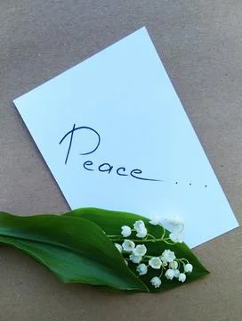 Note with text on white paper and a small bouquet of lilies of the valley Stock Photos