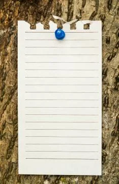 Note on the tree Stock Photos