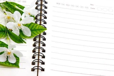 Notebook and flower Stock Photos