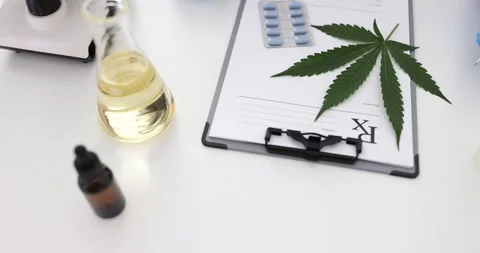 Notebook and freshly picked marijuana leaf lie on table Stock Footage 279960787