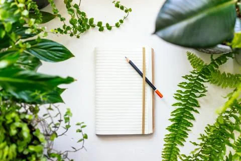Notebook and plants Stock Photos