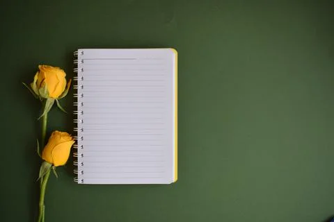 A notebook and two yellow roses, on a green background Stock Photos