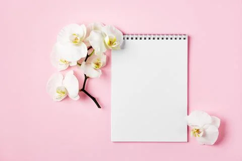 Notebook and white orchid flower on a pink background. Stock Photos