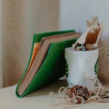 Notebook in autumn composition on the table. Nerd style. Stock Photos