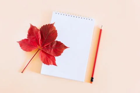 Notebook with blank page, red leaf and pencil on light orange background. Stock Photos