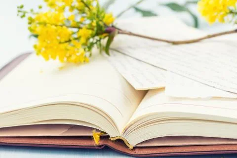 Notebook with blooming tree branch. Stock Photos