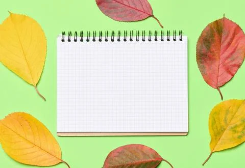 A notebook with a checkered pattern among yellow and red cherry leaves on a.. Foto stock