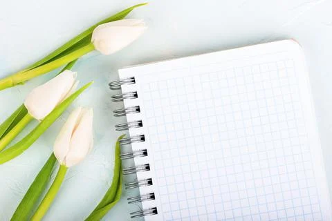 Notebook with checkered sheets and metal rings for attaching the sheets. Tuli Stock Photos
