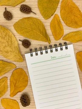 Notebook with copy space surrounded by autumn foliage on a wooden surface Stock Photos