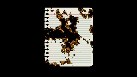 Notebook Dynamic - Royalty Free Clip Stock-Footage 337178963