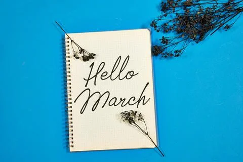  Notebook With Hello March Text On Blue Background With Organic Decorations Stock Photos