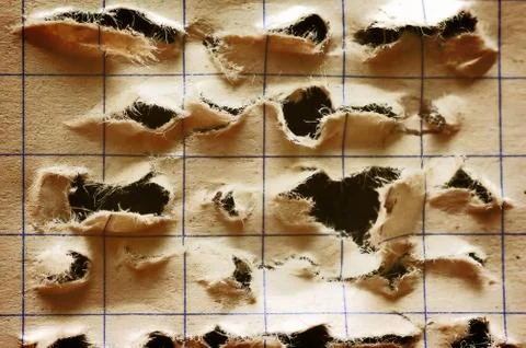 Notebook with holes Stock-Fotos