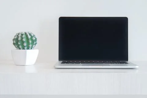 Notebook laptot and cactus Stock Photos
