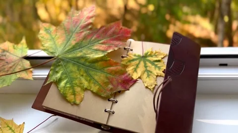 A notebook with maple leaves on an open page lies on the windowsill in autumn Video stock 251911204
