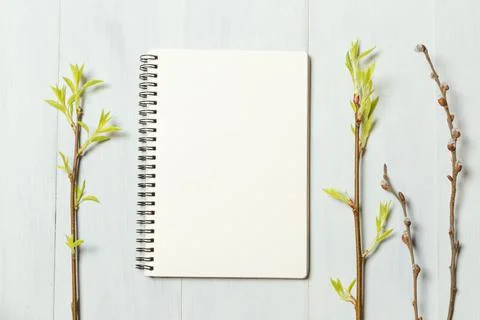 A notebook for notes and sketches on a light wooden background with fresh Stock Photos