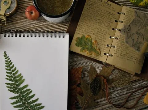 Notebook with notes on herbs and a mug with tea on a wooden table Stock Photos
