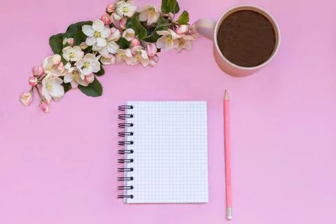 A notebook for notes lies on a pink background, next to pen, calculator, coffee Stock Photos