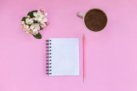 A notebook for notes lies on a pink background, next to pen, calculator, coffee Stock Photos