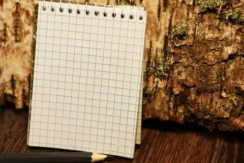 Notebook on a pine log Stock Photos