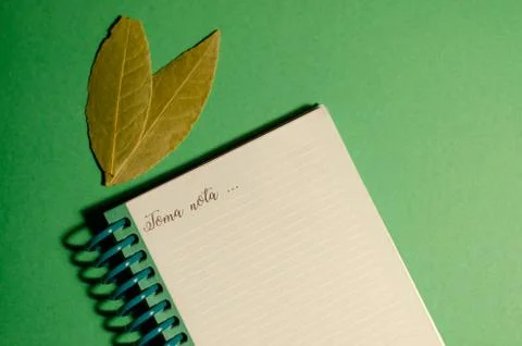 Notebook for quick notes 스톡 사진