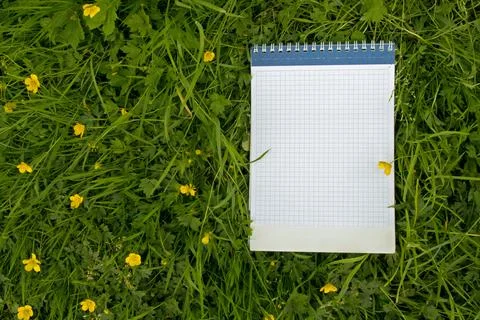 Notebook with sheets with blue cage on green leaves, yellow flowers of buttercup Stock-Fotos