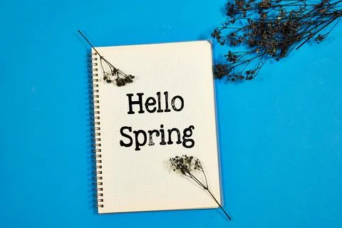 Notebook Stating Hello Spring with gypsophila Flowers on Blue Background Stock Photos