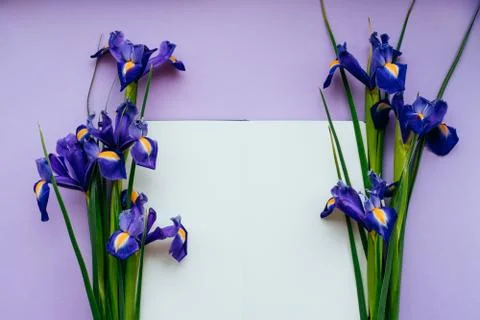 Notebook with violet flowers Stock Photos