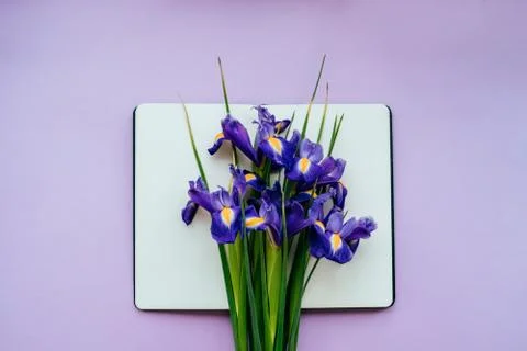 Notebook with violet flowers Foto stock